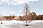 Private CROSS-COUNTRY SKIING in Czech mountains