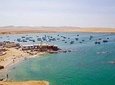  Excursion Paracas National Reserve and Tambo Colorado from Port the San Martín 