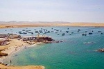  Excursion Paracas National Reserve and Tambo Colorado from Port the San Martín 