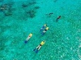 Amazing Basic Snorkel Experience In Cancún