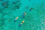 Amazing Basic Snorkel Experience In Cancún