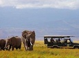 7 Days Breathtaking Kenya Wildlife Private Safari 