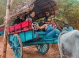 Highlights of Sri Lanka by Train (12)
