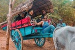 Highlights of Sri Lanka by Train (12)