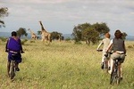 7 Days Kenya Cycling Wildlife Tour Adventure