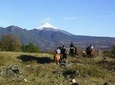 Horseback Trailride Excursion