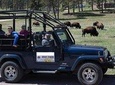 Private Group - Jeep "Buff" Bison Safari 