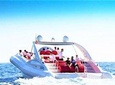 Luxury Opera 60 Whale & Dolphin Watching Experience 