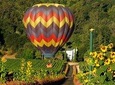 Thrilling Napa Balloon Ride: No change after 5pm the day prior to balloon tour