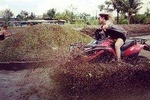Ubud ATV Quad Bike and Ayung White Water Rafting, Ubud with Lunch