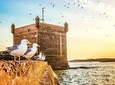  Day trip to Essaouira ( portugal city ) from agadir 