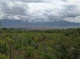 Visit with wine tasting to the cellars of Vesuvius (4 hours)