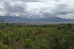 Visit with wine tasting to the cellars of Vesuvius (4 hours)