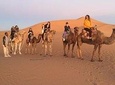 Marrakech to Zagora 2 days 1 night Desert Tour