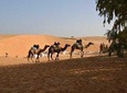 Night in the desert of Lompoul