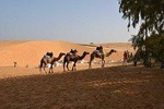 Night in the desert of Lompoul