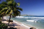 Private Shuttle Service From Liberia Airport To Tamarindo