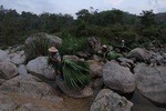 Daily tour discover Ha Giang city in 1 day