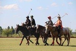 Polo day with class and game from Buenos Aires