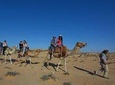 ride camel or horse