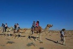 ride camel or horse