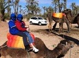 Camel Ride in the Palm Grove of Marrakech