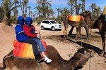 Camel Ride in the Palm Grove of Marrakech