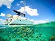 4-Hour Private 44' Large Luxury Catamaran Tour to Paamul Reef w/Food & Open Bar