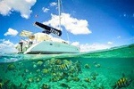 4-Hour Private 44' Large Luxury Catamaran Tour to Paamul Reef w/Food & Open Bar