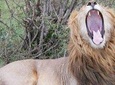  12 Days Kenya Safari Holidays