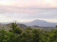 Tierra Madre Eco Lodge - Rainforest hike and organic farm tour 