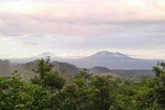 Tierra Madre Eco Lodge - Rainforest hike and organic farm tour 