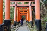 Explore Japan Tour: 20-day Small Group