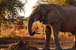  3 Days Masai Mara
