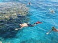private trip: hours snorkel on Magawish & Abu Minqar Island by private speedboat
