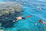 private trip: hours snorkel on Magawish & Abu Minqar Island by private speedboat