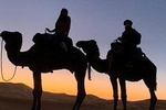 Magical Dinner In Agafay Desert And Sunset With Camel Ride