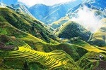 Sapa 2 Days 1 Night By Bus/Train (Overnight In Homestay)