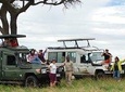 2 Day Serengeti Safari Experience from Mwanza