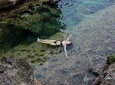 1 Day Nusa Penida (West) + Snorkeling 3 spots Mantay Bay, Gamat Bay, Crystal Bay