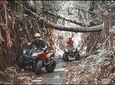 Ubud VW Safari Classic Car Tour and Ubud ATV Quad Bike
