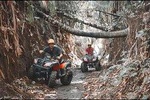 Ubud VW Safari Classic Car Tour and Ubud ATV Quad Bike