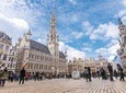 Private Walking Tour : Brussels Historical City Center Half Day