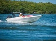 Jungle Tour Adventure cancun: Speed Boat and Snorkeling (GO SOLO)