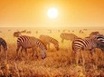 3-Day Lodge Safari-Tarangire, Manyara, Ngorongoro Crater