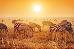 3-Day Lodge Safari-Tarangire, Manyara, Ngorongoro Crater