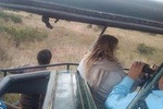 Mombasa 3 days safari in Tsavo and Amboseli Parks with bonus visit to Masai clan