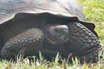 Galapagos Intensive 5 days, land base (3Islands) Excludes galapagos flight