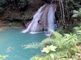Island Gully Falls And Columbus Park Day Adventure