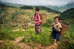 Visit Cat Cat village, trekking Ta Phin and transfer by Bus
